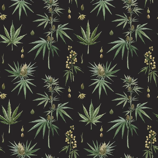 Magnifique aquarelle médicale marijuana motif sans couture. Médicament thérapeutique naturel . — Photo