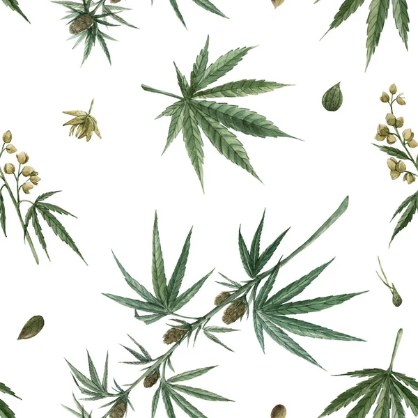 Magnifique aquarelle médicale marijuana motif sans couture. Médicament thérapeutique naturel . — Photo