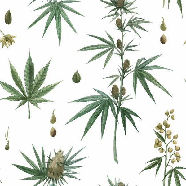 Magnifique vecteur aquarelle médicale marijuana modèle sans couture. Médicament thérapeutique naturel . — Image vectorielle