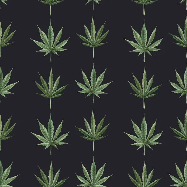 Лист конопли без фона в барселоне легализовали марихуану