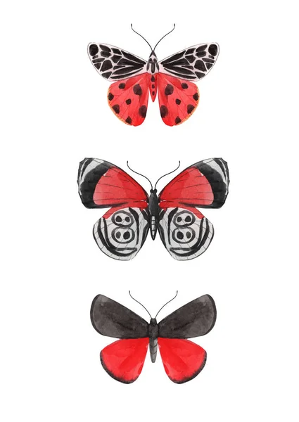 Hermosa acuarela tres conjunto de mariposas rojas. Coloridos insectos de verano. Pinza dibujada a mano. Belleza de la naturaleza . — Foto de Stock