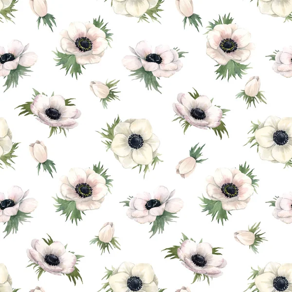 Krásný akvarel květinové bezešvé vzor s sasankou květy. Stock illustration. — Stock fotografie