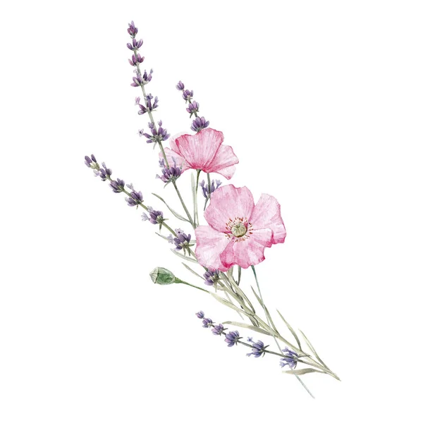 Vacker akvarell blommig bukett med isolerad lavanda och rosa vallmo blommor. Lagerillustration. — Stockfoto