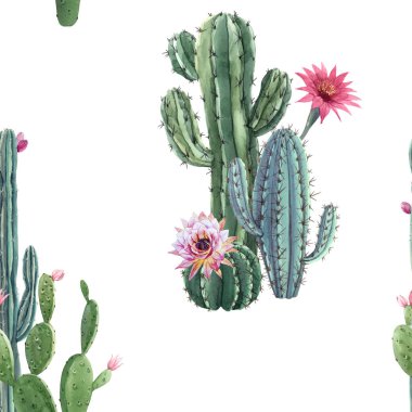 Güzel suluboya kaktüsler dikişsiz desen. Elle çizilmiş stok çizimleri. Beyaz arkaplan.