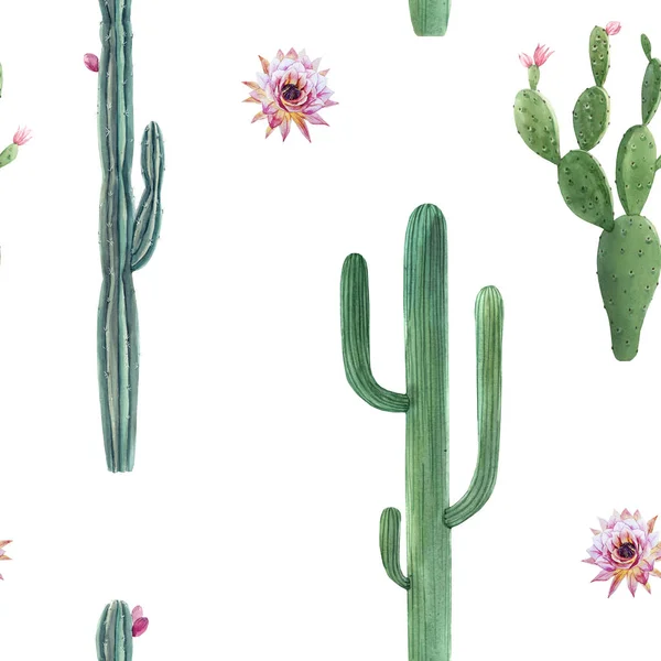 Beautiful watercolor cactus seamless pattern. Hand drawn stock illustrations. White background. — Stock Photo, Image