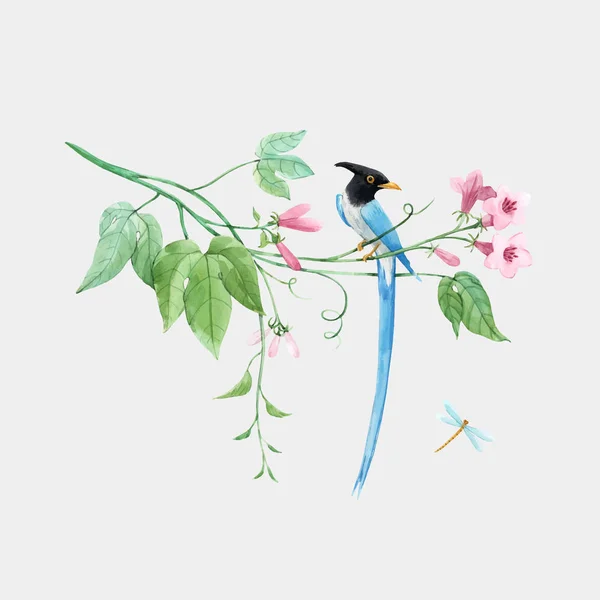 Acuarela vector aves del paraíso en la rama con flores tropicales de color rosa suave. Fondo blanco aislado. Ilustración general — Vector de stock