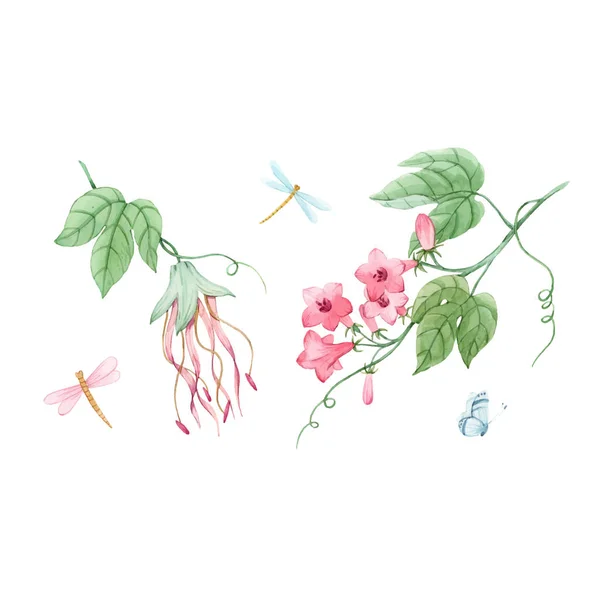 Akvarell blommig vektor som med tropiska växter. Filial med milda rosa blommor och trollsländor. Lagerillustration. — Stock vektor