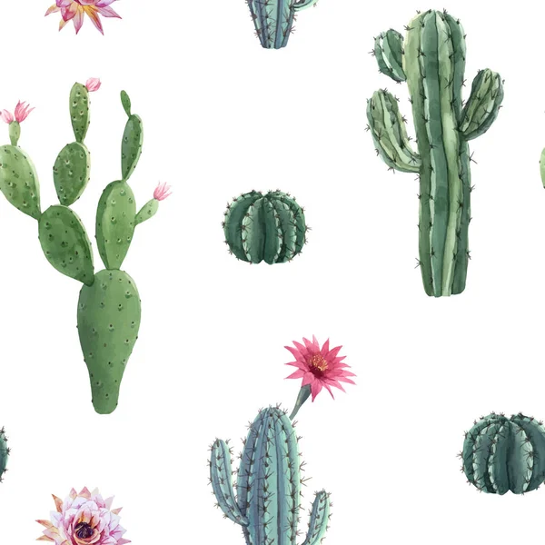 Beau vecteur aquarelle cactus motif sans couture. Illustrations dessinées à la main. Fond blanc . — Image vectorielle