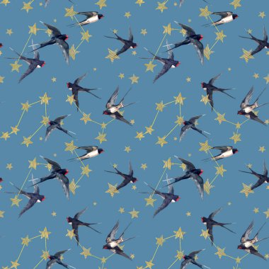 Suluboya elle çizilmiş yıldızlar ve kuşları yutan güzel, pürüzsüz bir şekil. Yıldızlı gökyüzü. Hisse Çizimi.