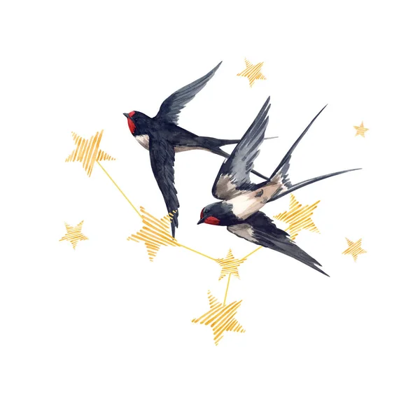 Beautiful composition with watercolor hand drawn stars and swallow birds. Starry sky. Stock Illustration. White background.