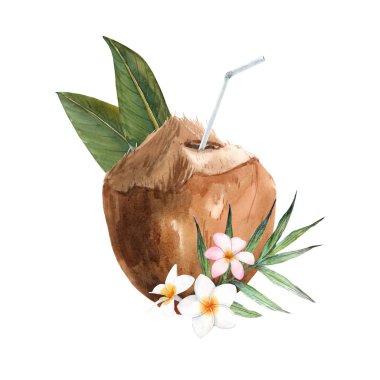 Güzel suluboya tropikal hindistan cevizi örnekleri. İçmeye hazırım. Çiçekler, palmiye yaprakları ve çubukla.