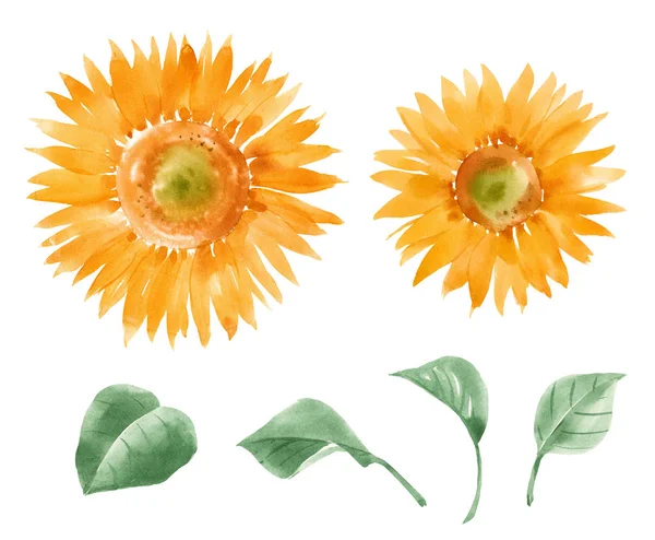 Beautiful illustration with hand drawn summer watercolor sunflowers. Stock artwork. — Stock Photo, Image