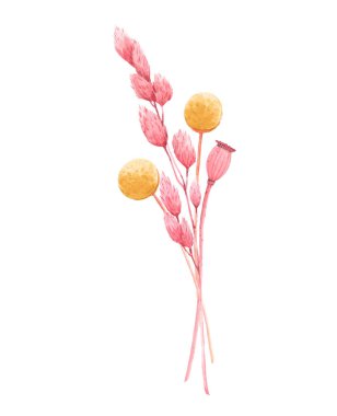 Sulu bitkilerle süslü güzel bir buket kompozisyonu. Pembe ve sarı renklerde kurutulmuş yabani otlar. Stok illüstrasyonu.