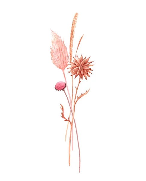 Beautiful bouquet composition with watercolor herbarium wild dried grass in pink and yellow colors. Stock illustration. — Stock Photo, Image