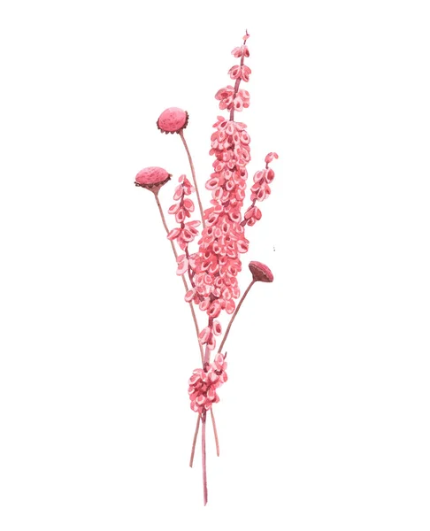 Krásná kytice složení s akvarelem herbář divoké sušené trávy v růžových a žlutých barvách. Stock illustration. — Stock fotografie