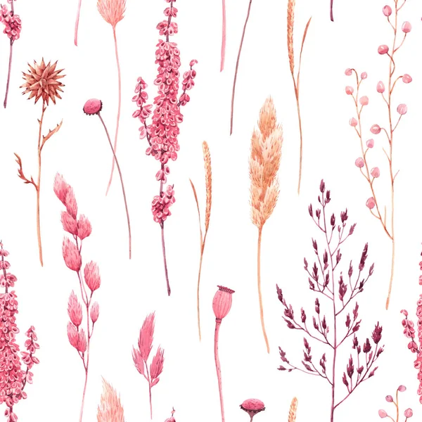Beautiful seamless pattern with watercolor herbarium wild dried grass in pink and yellow colors. Stock illustration. — Stock Photo, Image