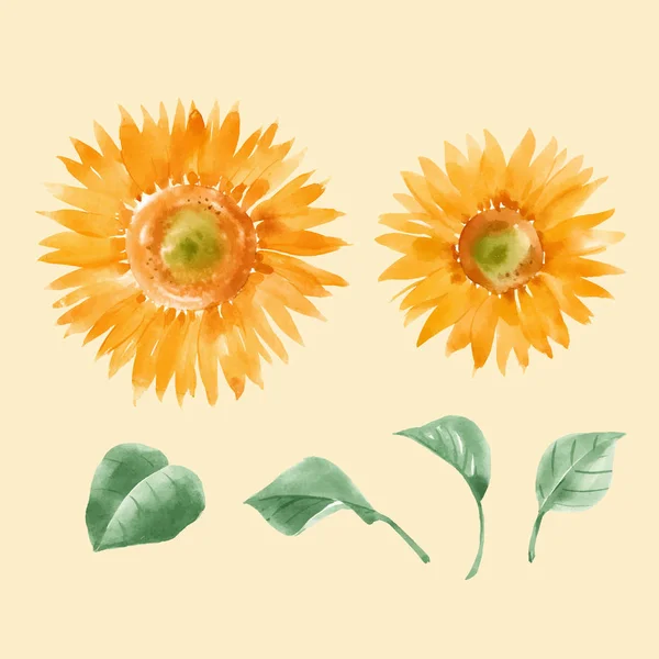 Beautiful vector illustration with hand drawn summer watercolor sunflowers. Stock artwork. — Stock Vector
