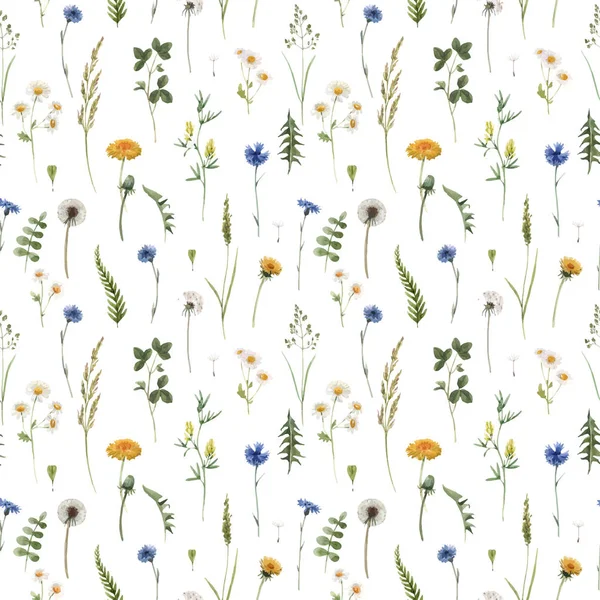 Beautiful vector floral summer seamless pattern with watercolor hand drawn field wild flowers. Stock illustration. — ストックベクタ