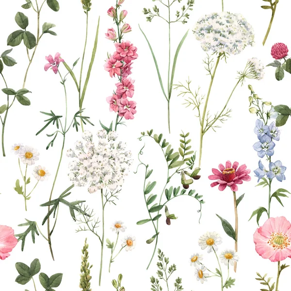 Όμορφη floral καλοκαίρι απρόσκοπτη μοτίβο με ακουαρέλα χέρι που πεδίο άγρια λουλούδια. Εικονογράφηση αποθέματος. — Φωτογραφία Αρχείου