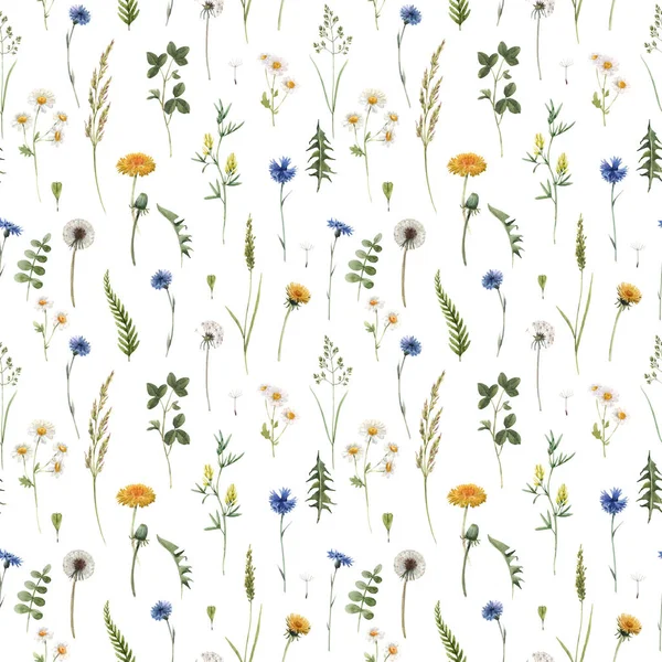 Hermoso patrón sin costuras de verano floral con acuarela dibujado a mano flores silvestres campo. Ilustración general . — Foto de Stock