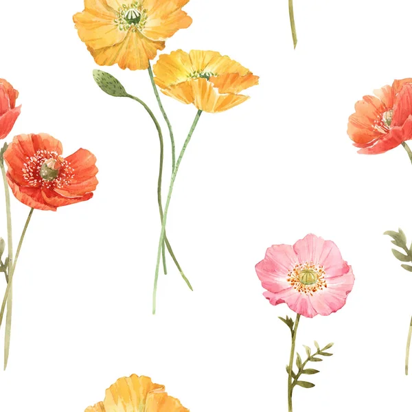 Piękny kwiatowy letni bezszwowy wzór z akwarelą ręcznie rysowane pole dzikie kwiaty. Ilustracja. — Zdjęcie stockowe