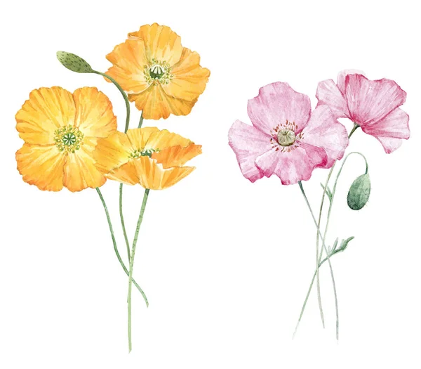 Beautiful bouquet composition with watercolor yellow poppy flowers. Stock illustration. — Stock Photo, Image
