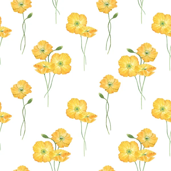 Schöne Vektor florale Sommer nahtlose Muster mit Aquarell handgezeichneten gelben Mohn-Wildblumen. Aktienillustration. — Stockvektor