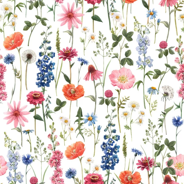 Beautiful floral summer seamless pattern with watercolor hand drawn field wild flowers. Stock illustration. — Stock Photo, Image
