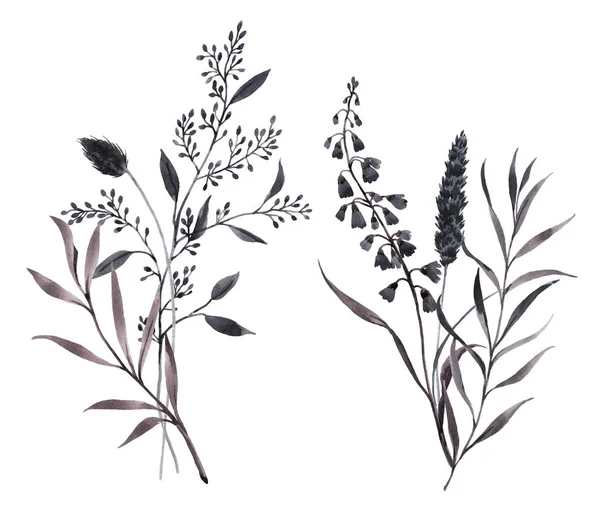 Krásná kytice kompozice s akvarelem tmavé divoké polní byliny. Stock illustration. — Stock fotografie