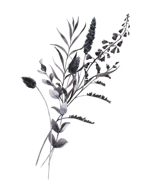 Bella composizione bouquet con acquerello scuro erbe selvatiche campo. Illustrazione delle scorte . — Foto Stock