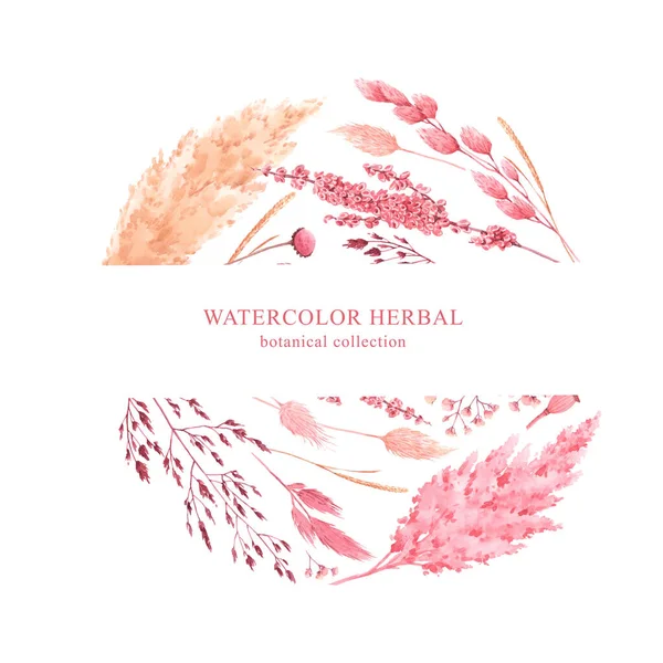 Piękna kompozycja ramki z akwarelowym bukietem suszonych różowo dzikich ziół polnych. Ilustracja. — Zdjęcie stockowe