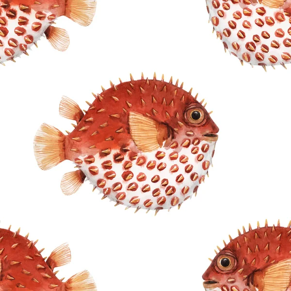 Gyönyörű zökkenőmentes minta nagyon aranyos akvarell sündisznó halak. Részvény illusztráció. Tengeri élőlény tapéta. Víz alatti tengeri háttér. — Stock Fotó