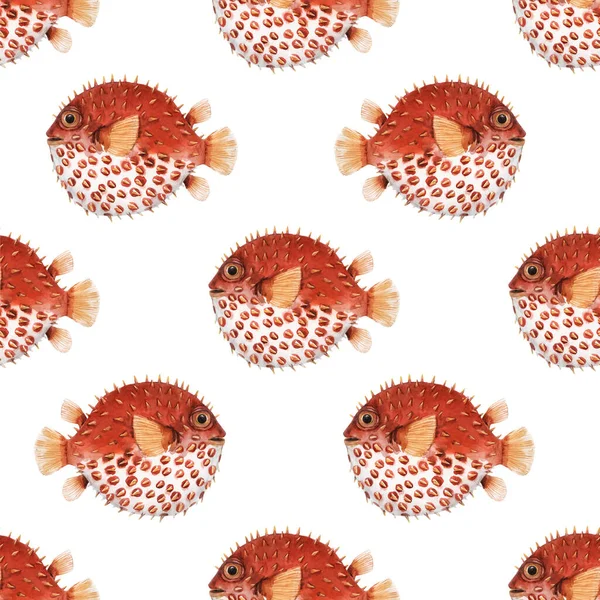 Hermoso patrón sin costura con peces erizo acuarela muy lindo. Ilustración de stock. Fondo de pantalla de vida marina. Fondo marino submarino . — Foto de Stock