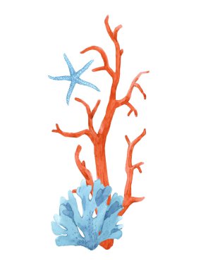 Su altında çok güzel bir kompozisyon. Su boyası, yaşam stoku çizimleri..