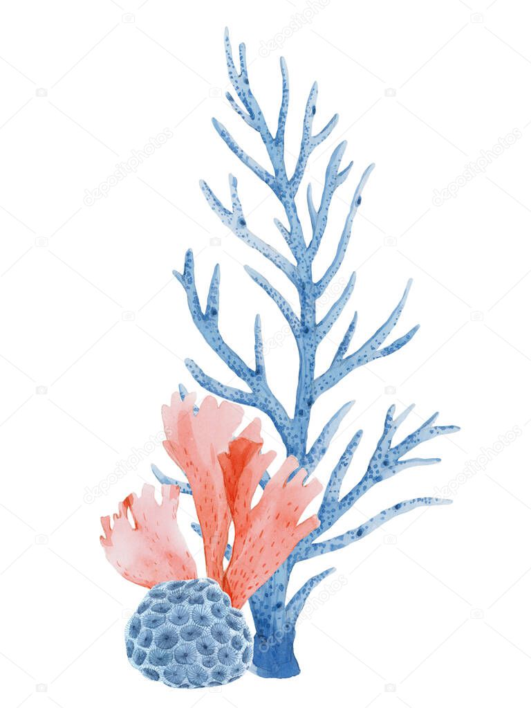 Beautiful underwater composition with watercolor sea life stock illustrations.