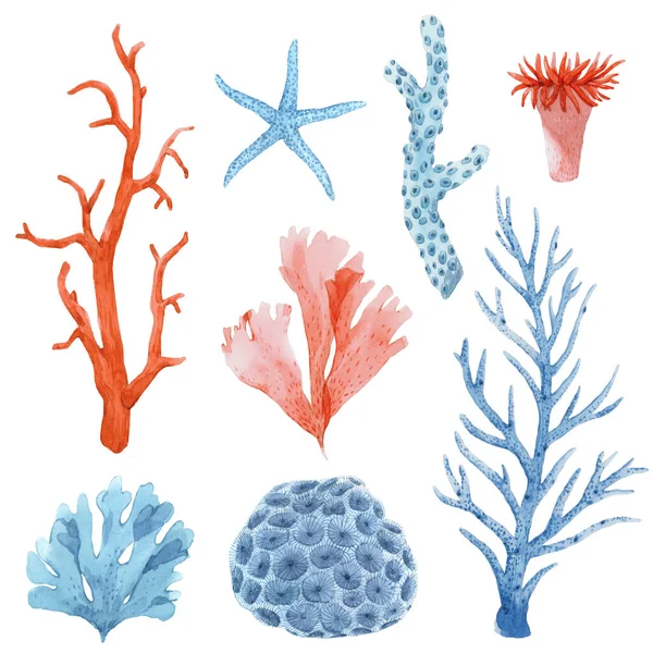 Schöne Set mit Unterwasser-Aquarell Sea Life Stock Illustrationen. — Stockfoto