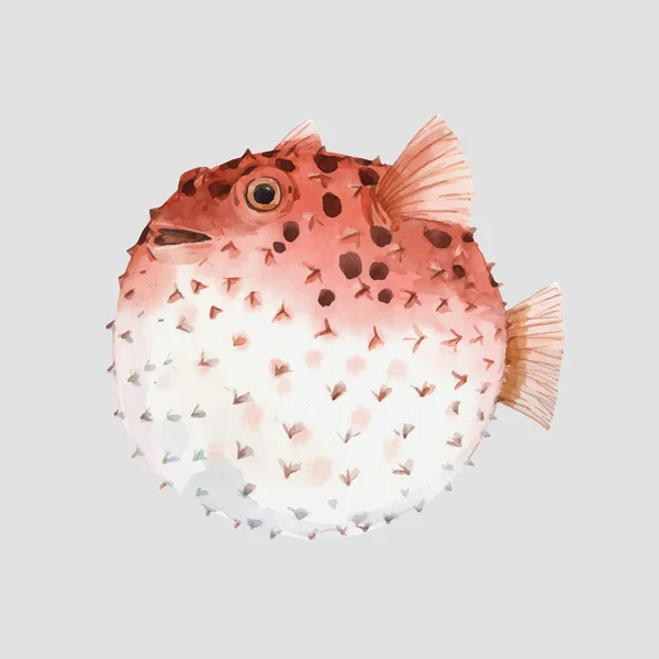 Beautiful vector artwork with very cute watercolor hedgehog fish. Stock illustration. Sea life. — Stock Vector