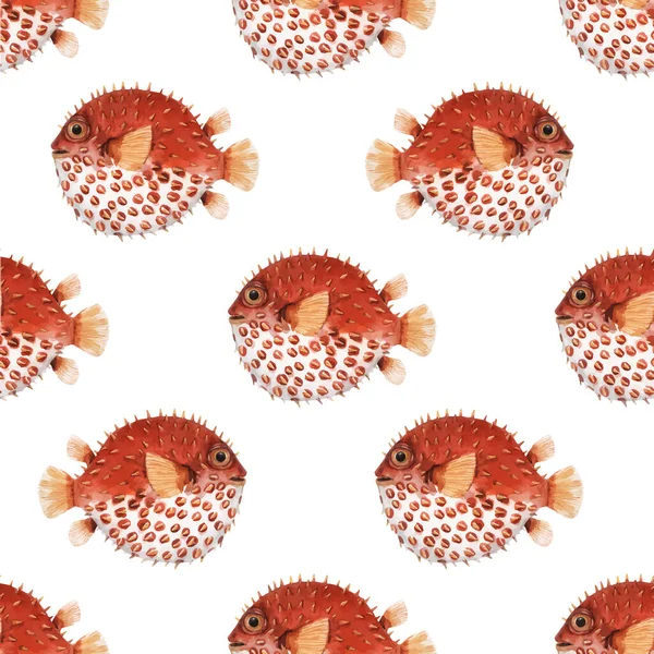 Beautiful seamless vector pattern with very cute watercolor hedgehog fishes. Stock illustration. Sea life wallpaper. Underwater marine background. — Stock Vector