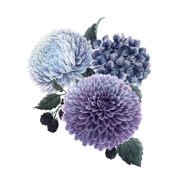 Beautiful vector bouquet composition with watercolor blue hydrengea and dahlia flowers and blackberry. Stock illustration. — Stock Vector