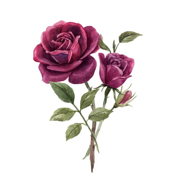 लाल गुलाब फुलांसह सुंदर वॉटरकलर फुलांची प्रतिमा. स्टॉक स्पष्टीकरण . — स्टॉक फोटो, इमेज