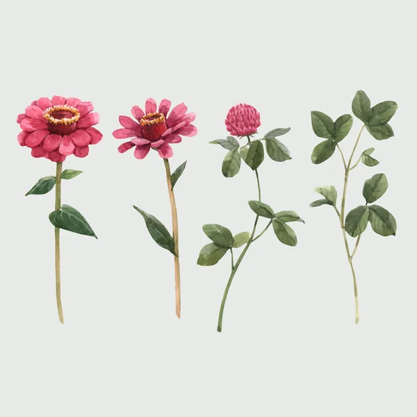 Schöne Vektor-Aquarell-Blumenset mit sanften Frühlingsblumen. Archivbild. — Stockvektor