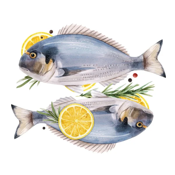 Bella illustrazione stock con acquerello disegnato a mano pesce dorado . — Foto Stock