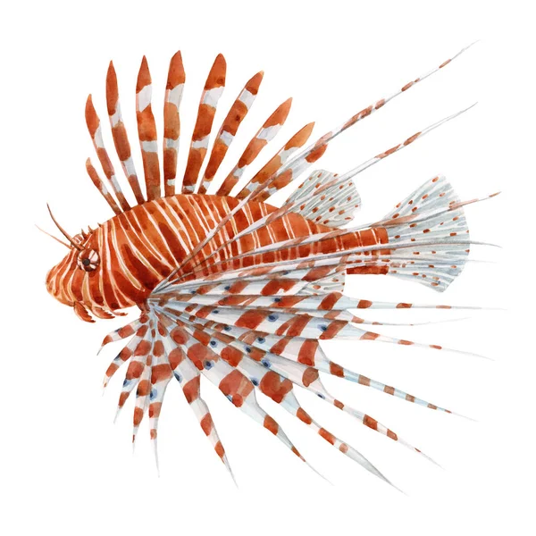 Beautiful stock illustration with watercolor hand drawn lion fish. — Stock Photo, Image