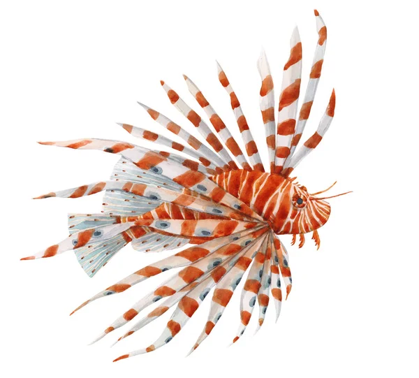 Beautiful stock illustration with watercolor hand drawn lion fish. — Stock Photo, Image