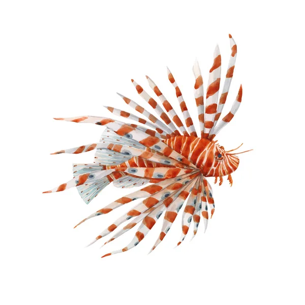 Hermosa ilustración de stock vectorial con peces león dibujado a mano acuarela . — Vector de stock