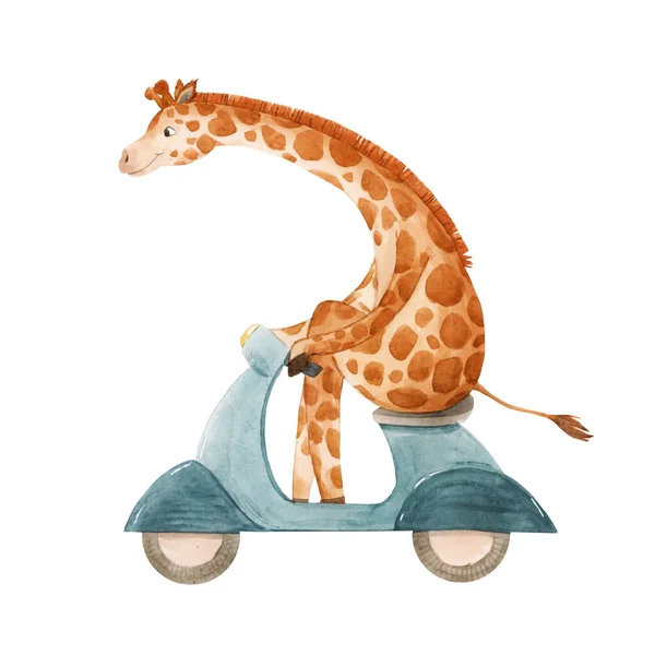 Şirin bir suluboya zürafa ve motosikletle güzel bir sergi çizimi. Bebek eli çizilmiş resim. — Stok fotoğraf