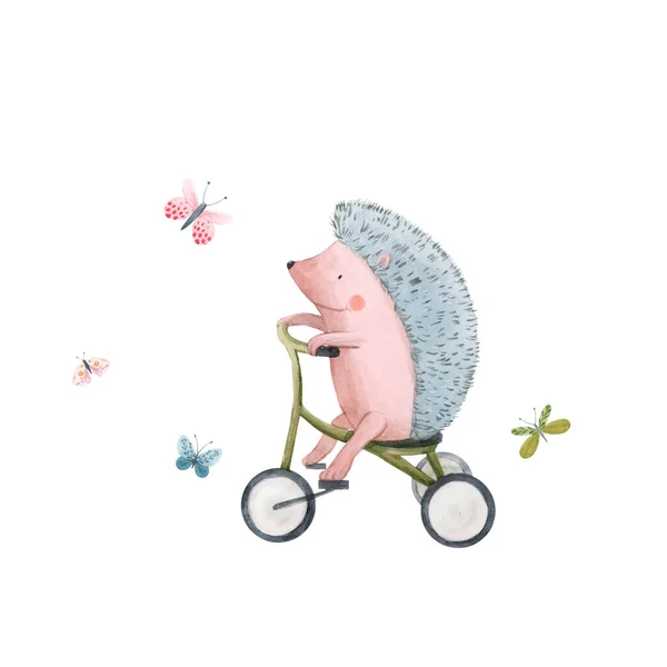 Schöne Aktienillustration mit niedlichem Aquarell-Igel auf dem Fahrrad. Tierbaby mit Fahrrad von Hand gemalt. — Stockfoto