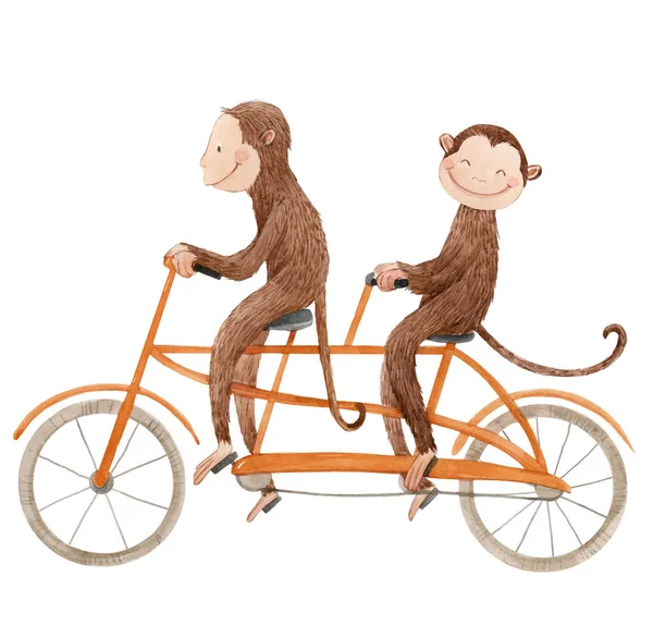 Beautiful stock illustration with cute watercolor baby monkey on bike. Animal with bicycle hand drawn painting. — Stock Photo, Image