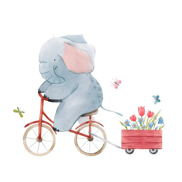 Piękna ilustracja akcji z cute akwarela słoń dziecka na rowerze. Zwierzę z ręcznie malowane rower. — Zdjęcie stockowe