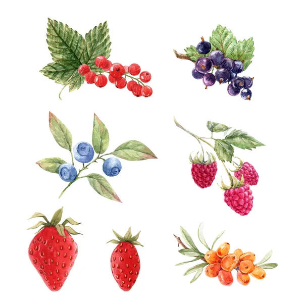 수채화와 손으로 그린 딸기 그림 이 있는 아름다운 세트. 주식 삽화. — 스톡 사진